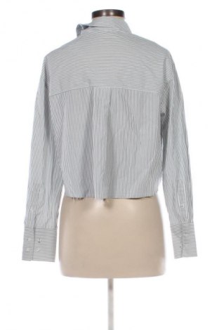 Damska koszula Calliope, Rozmiar S, Kolor Kolorowy, Cena 10,99 zł