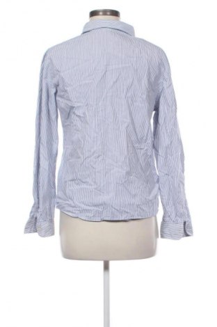 Dámska košeľa  Chocolat, Veľkosť M, Farba Viacfarebná, Cena  1,95 €