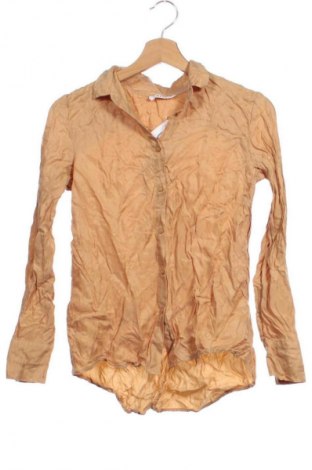 Cămașă de femei Edited, Mărime XS, Culoare Maro, Preț 85,60 Lei