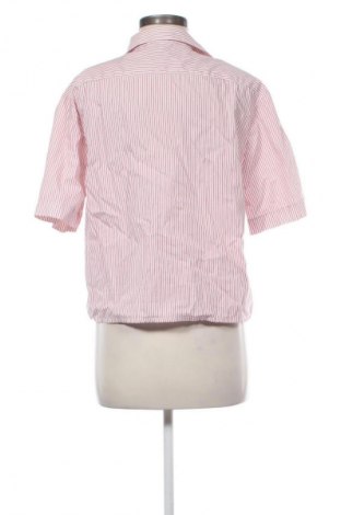 Dámská košile  Eterna, Velikost L, Barva Vícebarevné, Cena  369,00 Kč