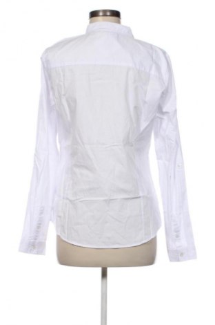 Damska koszula Sinsay, Rozmiar XL, Kolor Biały, Cena 30,83 zł