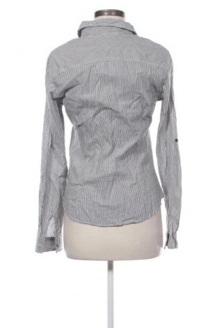 Dámska košeľa  Terranova, Veľkosť L, Farba Viacfarebná, Cena  3,95 €