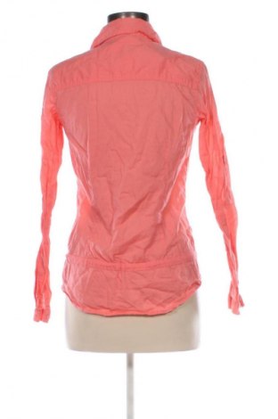 Damska koszula Terranova, Rozmiar S, Kolor Różowy, Cena 10,99 zł