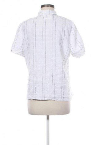 Damska koszula Unbranded, Rozmiar M, Kolor Kolorowy, Cena 62,99 zł