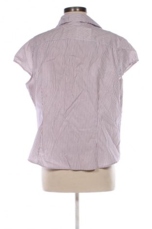 Damska koszula Yessica, Rozmiar XXL, Kolor Kolorowy, Cena 29,99 zł