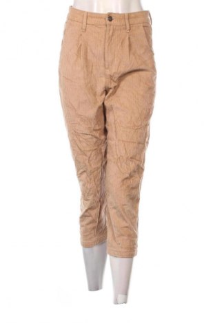 Damskie sztruksy Hollister, Rozmiar S, Kolor Beżowy, Cena 19,99 zł