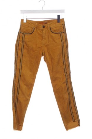 Damskie sztruksy Stehmann, Rozmiar S, Kolor Kolorowy, Cena 85,30 zł