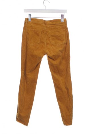 Damskie sztruksy Stehmann, Rozmiar S, Kolor Kolorowy, Cena 85,30 zł