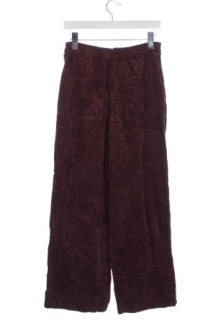 Damskie sztruksy Zara, Rozmiar XS, Kolor Popielaty róż, Cena 120,99 zł