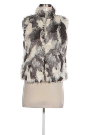 Damska kamizelka Tally Weijl, Rozmiar S, Kolor Kolorowy, Cena 38,99 zł