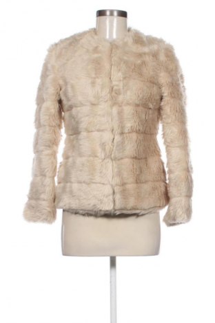 Dámsky kabát  Terranova, Veľkosť XS, Farba Béžová, Cena  53,98 €