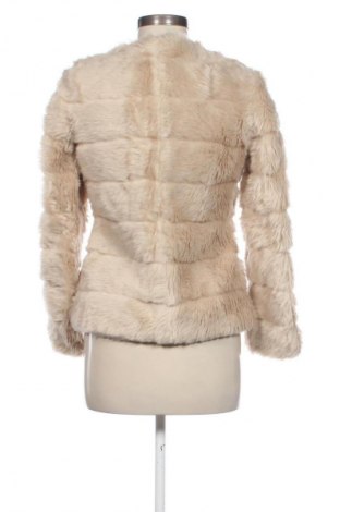 Dámsky kabát  Terranova, Veľkosť XS, Farba Béžová, Cena  53,98 €