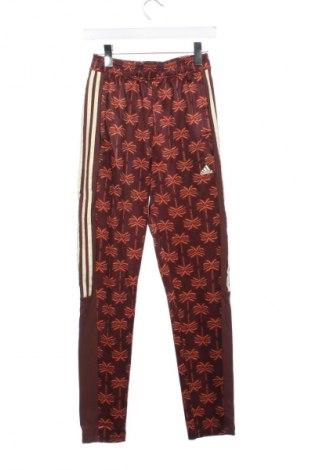 Dámské tepláky Adidas, Velikost XS, Barva Vícebarevné, Cena  679,00 Kč