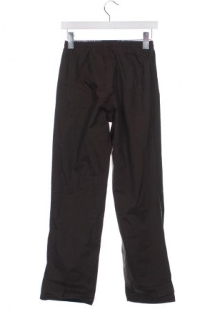 Pantaloni trening de femei Helly Hansen, Mărime XS, Culoare Maro, Preț 79,99 Lei