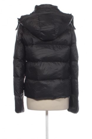 Kurtka damska Calvin Klein Jeans, Rozmiar L, Kolor Szary, Cena 519,99 zł