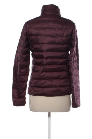Dámská bunda  Uniqlo, Velikost S, Barva Fialová, Cena  2 671,00 Kč