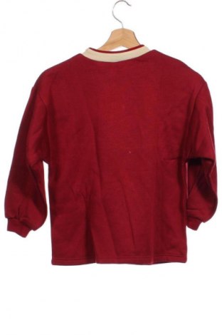 Gyerek blúz Unbranded, Méret 8-9y / 134-140 cm, Szín Sokszínű, Ár 989 Ft