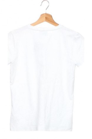 Dziecięcy T-shirt Iceberg, Rozmiar 13-14y/ 164-168 cm, Kolor Biały, Cena 249,84 zł