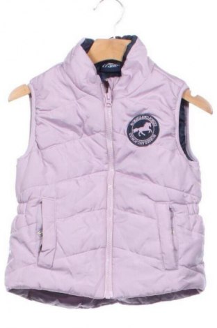Παιδικό γιλέκο Crane, Μέγεθος 5-6y/ 116-122 εκ., Χρώμα Βιολετί, Τιμή 8,99 €