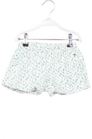 Dziecięce szorty Original Marines, Rozmiar 12-18m/ 80-86 cm, Kolor Kolorowy, Cena 11,99 zł