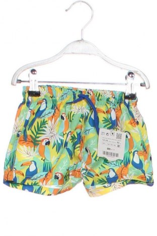 Kinder Shorts Zara, Größe 18-24m/ 86-98 cm, Farbe Mehrfarbig, Preis 7,75 €