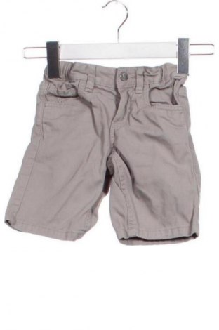 Παιδικό παντελόνι Palomino, Μέγεθος 2-3m/ 56-62 εκ., Χρώμα Γκρί, Τιμή 1,99 €