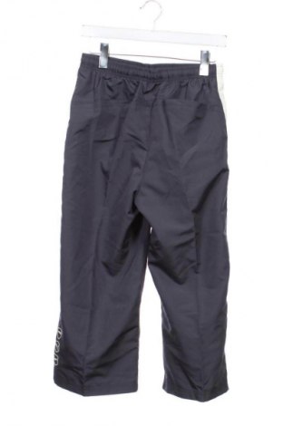 Dziecięce spodnie sportowe PUMA, Rozmiar 15-18y/ 170-176 cm, Kolor Niebieski, Cena 57,99 zł