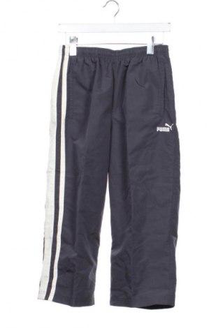 Dziecięce spodnie sportowe PUMA, Rozmiar 15-18y/ 170-176 cm, Kolor Niebieski, Cena 57,99 zł