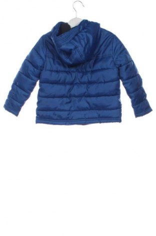 Gyerek dzseki Terranova, Méret 2-3m / 56-62 cm, Szín Kék, Ár 3 001 Ft