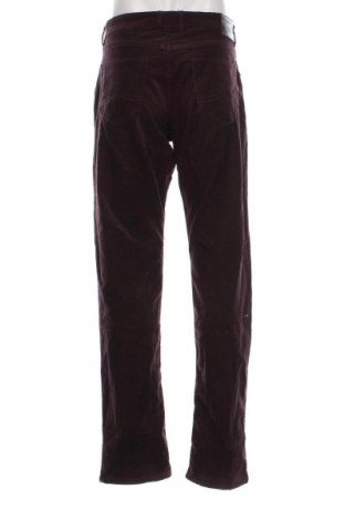 Férfi kordnadrág Canda, Méret L, Szín Lila, Ár 3 499 Ft