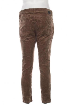 Pánské manšestráky  Zara, Velikost L, Barva Hnědá, Cena  69,00 Kč