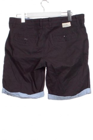 Pánské kraťasy Review, Velikost L, Barva Šedá, Cena  159,00 Kč