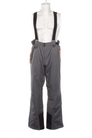 Мъжки панталон за зимни спортове Crane, Размер XL, Цвят Сив, Цена 39,36 €