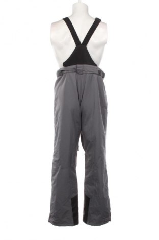 Мъжки панталон за зимни спортове Crane, Размер XL, Цвят Сив, Цена 39,36 €