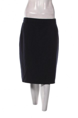 Sukňa Clarina Collection, Veľkosť L, Farba Modrá, Cena  1,95 €