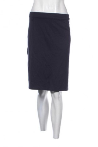 Sukňa Unbranded, Veľkosť XXL, Farba Modrá, Cena  9,95 €