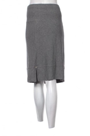 Sukně Unbranded, Velikost L, Barva Šedá, Cena  109,00 Kč
