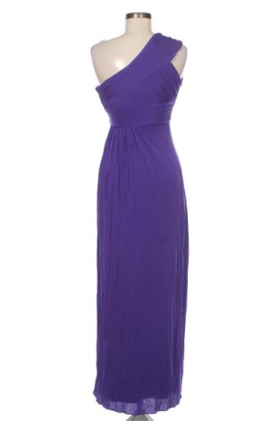 Kleid Coast, Größe XS, Farbe Lila, Preis 26,12 €