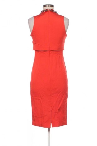 Kleid Coast, Größe S, Farbe Rot, Preis 40,99 €