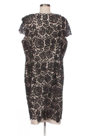 Kleid Jacques Vert, Größe XL, Farbe Mehrfarbig, Preis 26,12 €