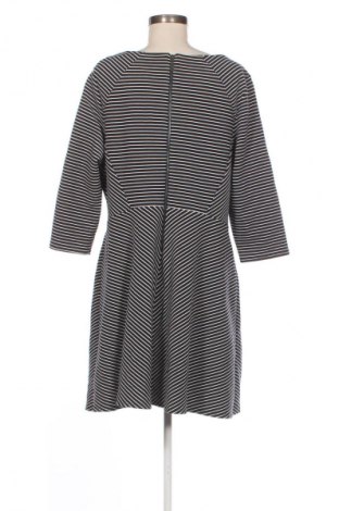 Sukienka Marks & Spencer, Rozmiar XXL, Kolor Kolorowy, Cena 105,99 zł