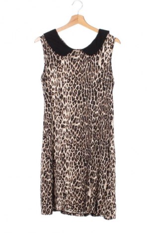 Šaty  Next, Veľkosť XL, Farba Viacfarebná, Cena  19,95 €
