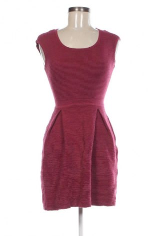 Šaty  Pinko, Veľkosť S, Farba Popolavo ružová, Cena  31,95 €