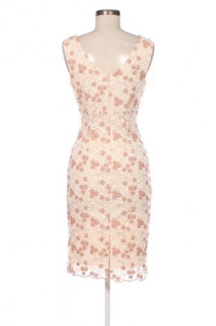 Kleid Xara, Größe S, Farbe Mehrfarbig, Preis 34,53 €