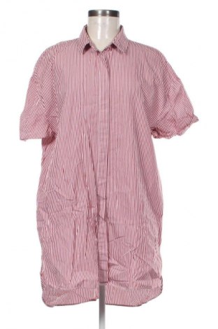 Šaty  Zara, Velikost L, Barva Vícebarevné, Cena  399,00 Kč