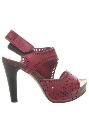 Σανδάλια Unbranded, Μέγεθος 36, Χρώμα Ρόζ , Τιμή 32,99 €