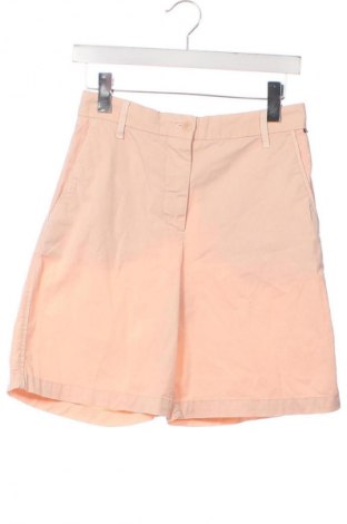 Damen Shorts Tommy Hilfiger, Größe XS, Farbe Rosa, Preis 16,99 €