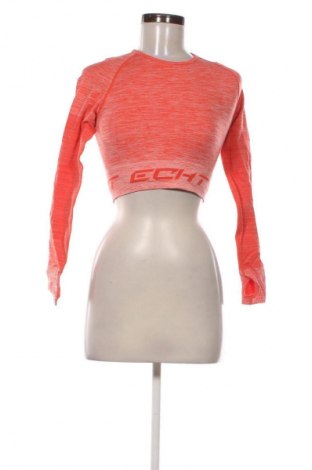 Γυναικεία μπλούζα ECHT, Μέγεθος S, Χρώμα Πολύχρωμο, Τιμή 11,99 €