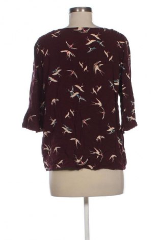 Дамска блуза Saint Tropez, Размер XL, Цвят Многоцветен, Цена 8,69 €