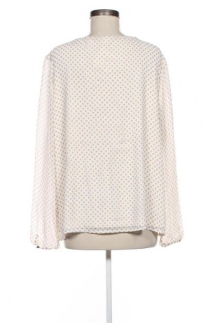 Γυναικεία μπλούζα Taifun, Μέγεθος M, Χρώμα Πολύχρωμο, Τιμή 1,99 €